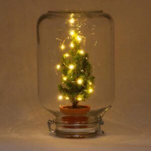 Easyplant - Christmas - Kerst decoratie - ↕ 28 cm
