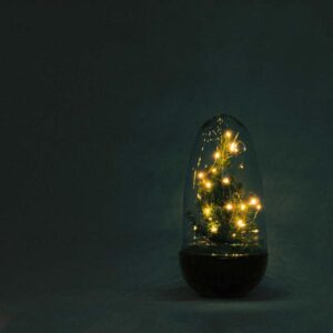 DIY terrarium - Egg Christmas - Kerst decoratie ↕ 25 cm