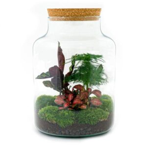 DIY Planten terrarium met licht - Milky - Ø 21 cm ↑ 30 cm - No tools