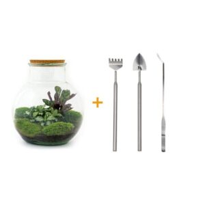 DIY Planten terrarium (met licht) - Teddy - Ø 25 cm ↑ 26,5 cm - Rake + Shovel + Tweezer