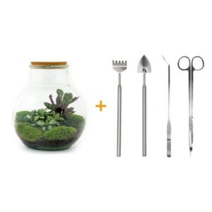 DIY Planten terrarium (met licht) - Teddy - Ø 25 cm ↑ 26,5 cm - Rake + Shovel + Tweezer + Scissors