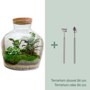DIY Planten terrarium met licht - Fat Joe - Ø 29 cm ↑ 30 cm - Rake + Shovel