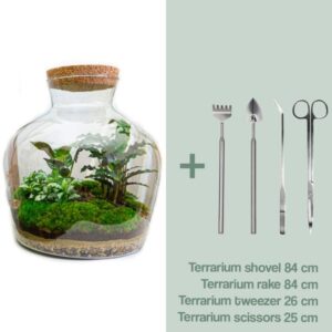 DIY Planten terrarium met licht - Fat Joe - Ø 29 cm ↑ 30 cm - Rake + Shovel + Tweezer + Scissors