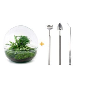 DIY Planten terrarium tweedelig bolglas - Dome XL -Ø 28 cm ↑ 28 cm - Rake + Shovel + Tweezer