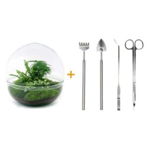 DIY Planten terrarium tweedelig bolglas - Dome XL -Ø 28 cm ↑ 28 cm - Rake + Shovel + Tweezer + Scissors