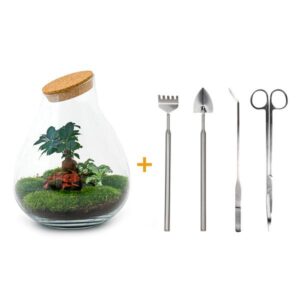 DIY Planten terrarium - Drop XL Bonsai 'red' - Ø 24 cm ↑ 37 cm - Rake + Shovel + Tweezer + Scissors