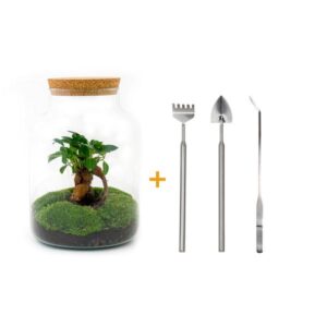 DIY Planten terrarium met licht - Milky Bonsai - Ø 21 cm ↑ 30 cm - Rake + Shovel + Tweezer