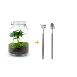 DIY terrarium - Jar - Coffea Arabica - ↕ 28 cm - Rake + Shovel