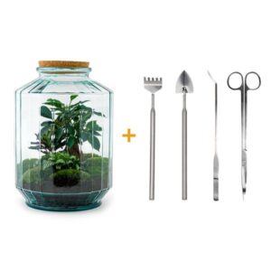 DIY terrarium - Botanical garden XL - ↕ 35 cm - Rake + Shovel + Tweezer + Scissors