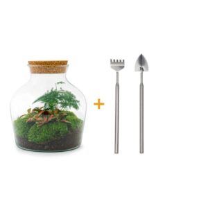 DIY terrarium - Little Joe met licht - ↕ 21,5 cm - Rake + Shovel