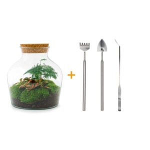 DIY terrarium - Little Joe met licht - ↕ 21,5 cm - Rake + Shovel + Tweezer