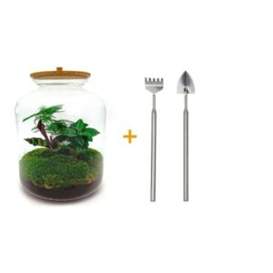 DIY terrarium - Lukas - ↕ 33 cm - Rake + Shovel