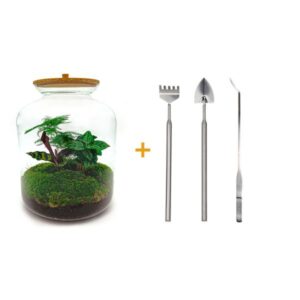 DIY terrarium - Lukas - ↕ 33 cm - Rake + Shovel + Tweezer
