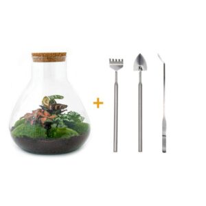 DIY Planten terrarium met licht - Sam XL Red - Ø 30 cm ↑ 32 cm - Rake + Shovel