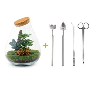 DIY Planten terrarium - Drop XL Palm - Ø 24 cm ↑ 37 cm - Rake + Shovel + Tweezer + Scissors
