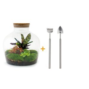DIY Planten terrarium met licht - Fat Joe Red - Ø 29 cm ↑ 30 cm - Rake + Shovel
