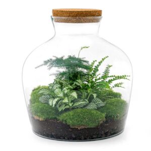 DIY Planten terrarium met licht - Fat Joe Green - Ø 29 cm ↑ 30 cm - Rake + Shovel + Tweezer + Scissors