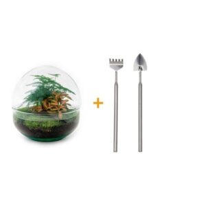 DIY Planten terrarium tweedelig bolglas - Dome Red - Ø 20 cm ↑ 20 cm - Rake + Shovel