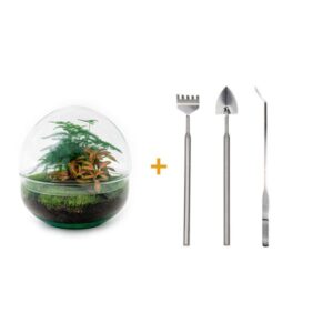 DIY Planten terrarium tweedelig bolglas - Dome Red - Ø 20 cm ↑ 20 cm - Rake + Shovel + Tweezer