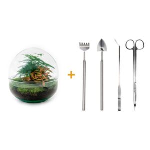 DIY Planten terrarium tweedelig bolglas - Dome Red - Ø 20 cm ↑ 20 cm - Rake + Shovel + Tweezer + Scissors