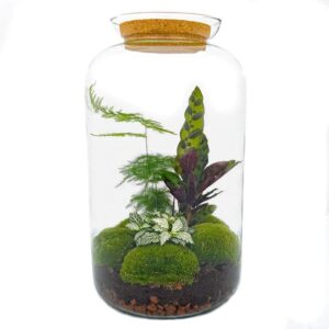 DIY Planten terrarium met licht - Sven XL Botanical - Ø 23 cm ↑ 43 cm - Rake + Shovel + Tweezer