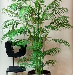Kunstplant - Chamaedorea Elegans - Bergpalm - 180 cm