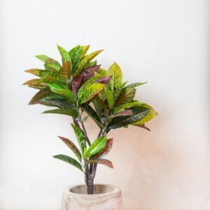 Kunstplant - Croton Codiaeum - Wonderstruik - 95 cm