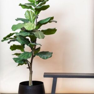 Kunstplant - Ficus Lyrata - Tabaksplant - 120 cm
