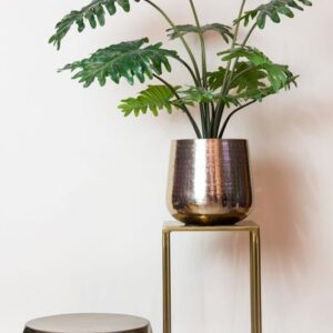 Kunstplant - Philodendron - 60 cm