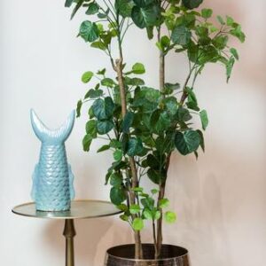 Kunstplant - Polyscias - Aralia - 160 cm