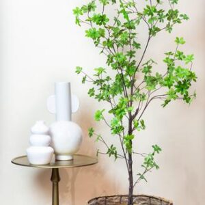 Kunstplant - Tropaeolum Speciosum - Oost Indische Kers - 210 cm