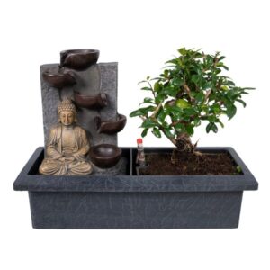 Bonsai Waterval (budha) - Ø15cm - ↕30cm