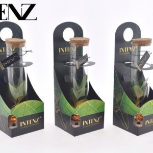 Clusia In Tube Glas + LED + Verpakking - Ø5cm - ↕10cm