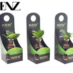 Clusia In Samoa Glas + LED - Ø5cm - ↕10cm