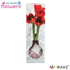 No Water Flowers Waxz® Luxury Box Art Bordeaux - ↕15cm
