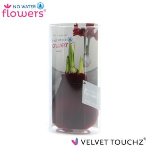 No Water Flowers Velvet Touchz® Bordeaux In Koker - ↕15cm