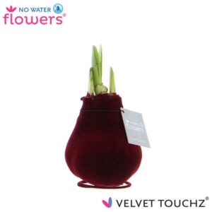 No Water Flowers Velvet Touchz® Bordeaux - ↕15cm
