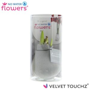 No Water Flowers Velvet Touchz® Zilver In Koker - ↕15cm
