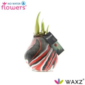 No Water Flowers Waxz® Artooz Earth Red - ↕15cm
