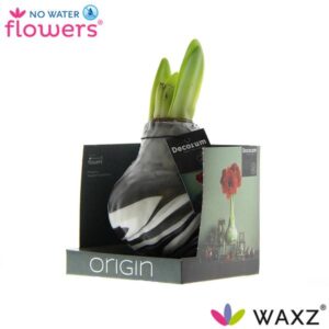No Water Flowers Waxz® Artooz Earth Black Boxz - ↕15cm