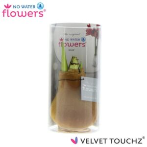 No Water Flowers Velvet Touchz® Copper In Koker - ↕15cm