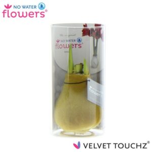 No Water Flowers Velvet Touchz® Gold In Koker - ↕15cm