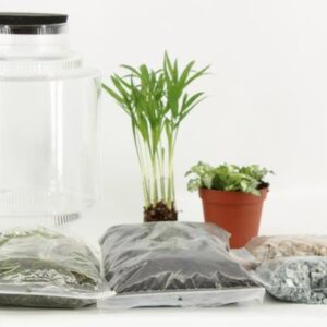 Terrarium Arrangement (DIY) - Ø17cm - ↕25cm