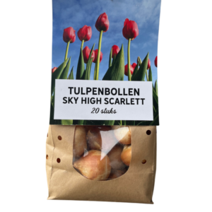 Sky High Scarlett - Tulpenbollen 20 stuks