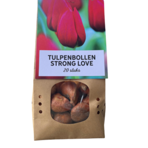 Strong Love - Tulpenbollen 20 stuks