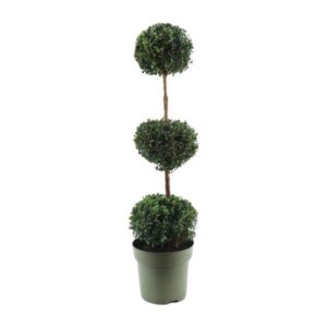Buxus Semp. Trio-Ball - Ø27cm - ↕110cm