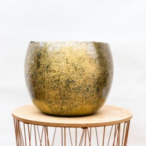 Ellen Brass - 25x19