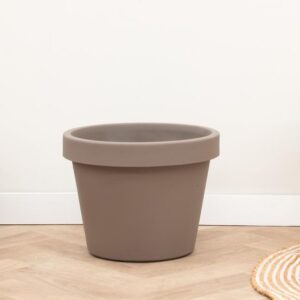 Lira Tortora - D75 x H68