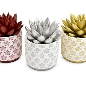 Echeveria Coloured in Xmas White + Stars Ceramic - 3 stuks - Ø8,5cm - ↕10 cm