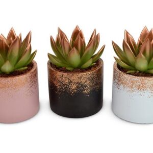 Echeveria Coloured Festival Bronze in Lara Ceramics - 3 stuks - Ø8,5cm - ↕11cm